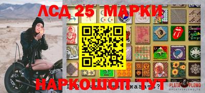 индика Рыбинск