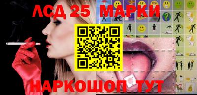 индика Рыбинск