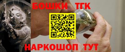 индика Рыбинск